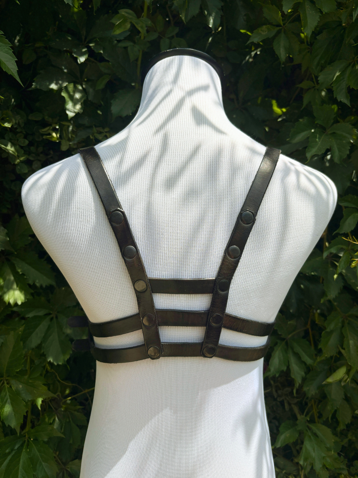 The Silhouette Harness