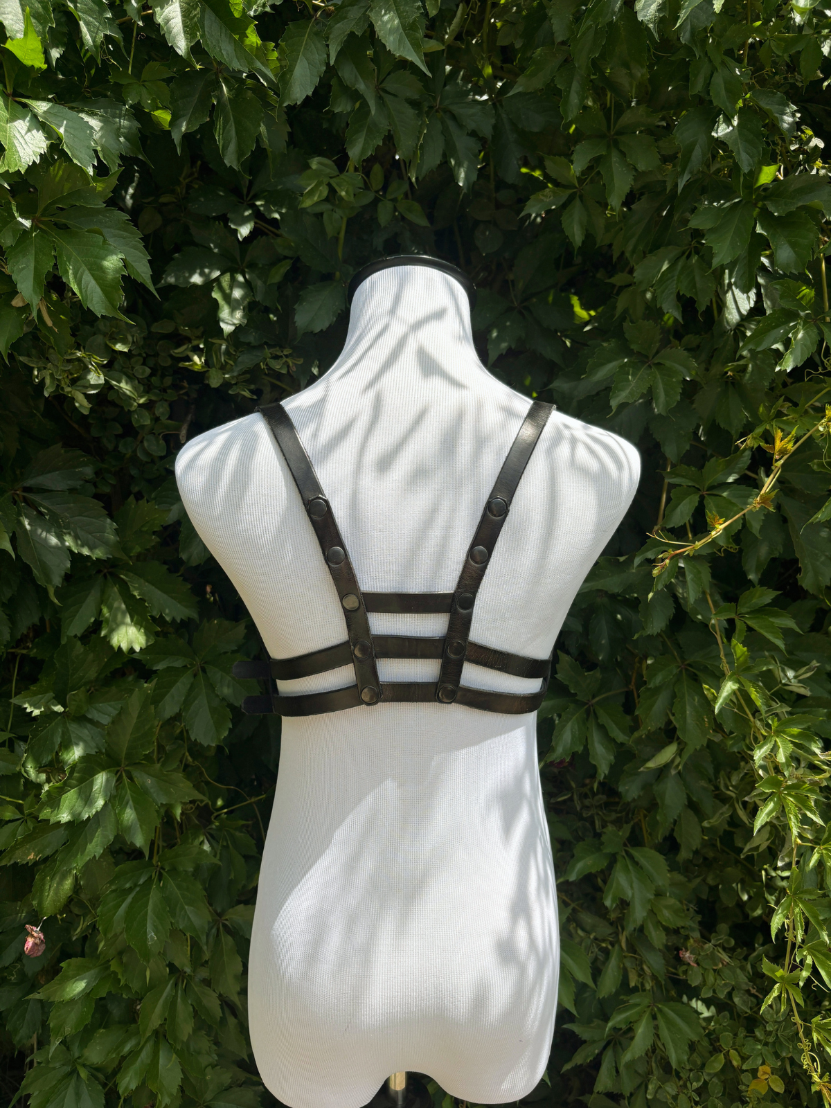 The Silhouette Harness